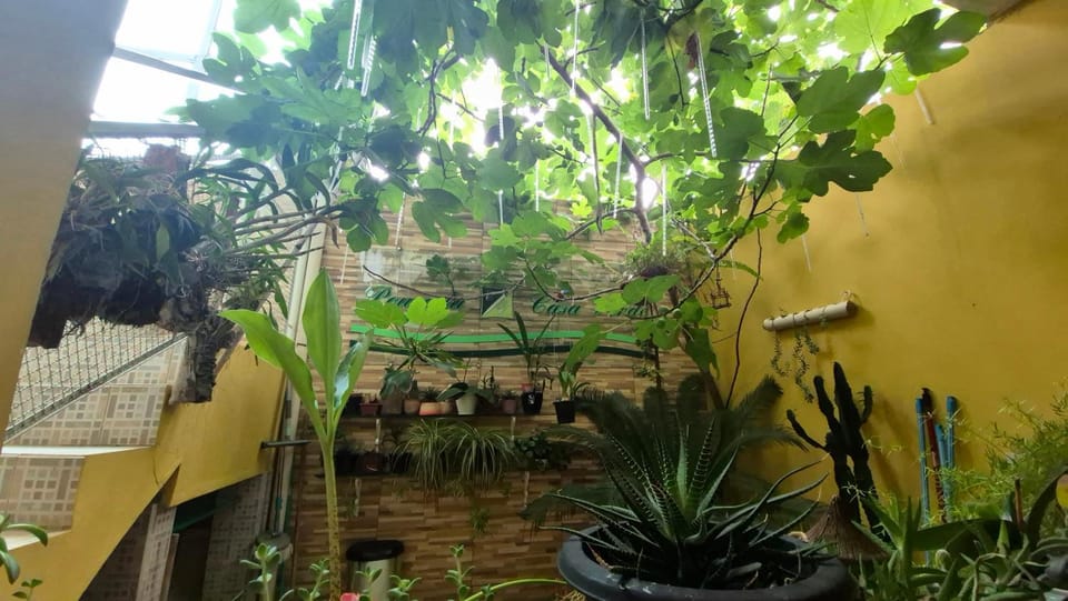 Pousada Casa Verde Inn in State of São Paulo