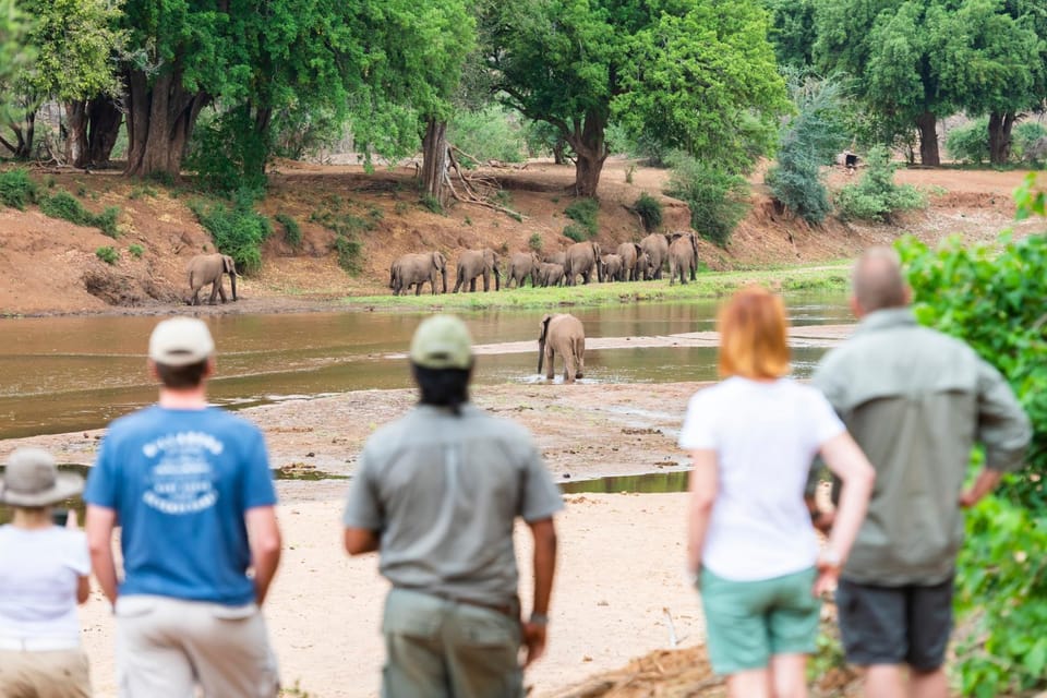 Natural landscape, River view, group of guests