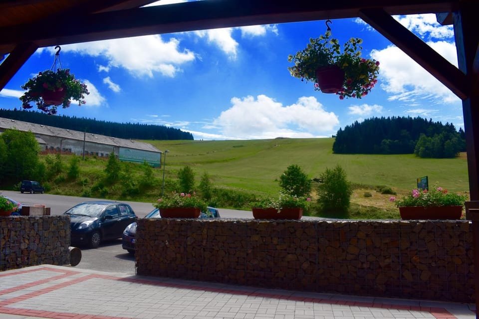 Property building, Garden view