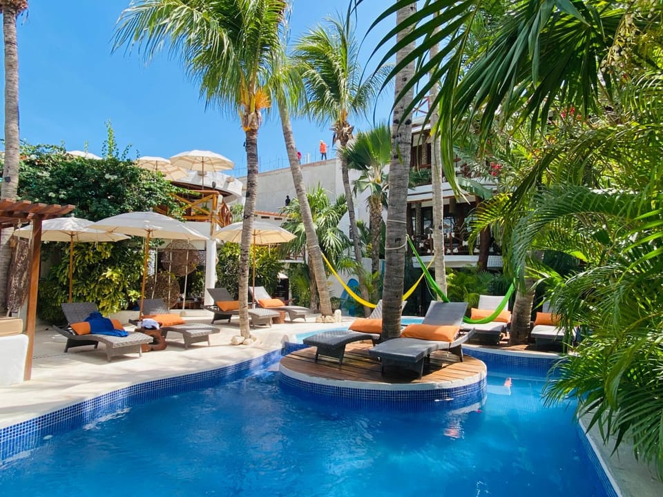 Garden, Garden view, Swimming pool, sunbed