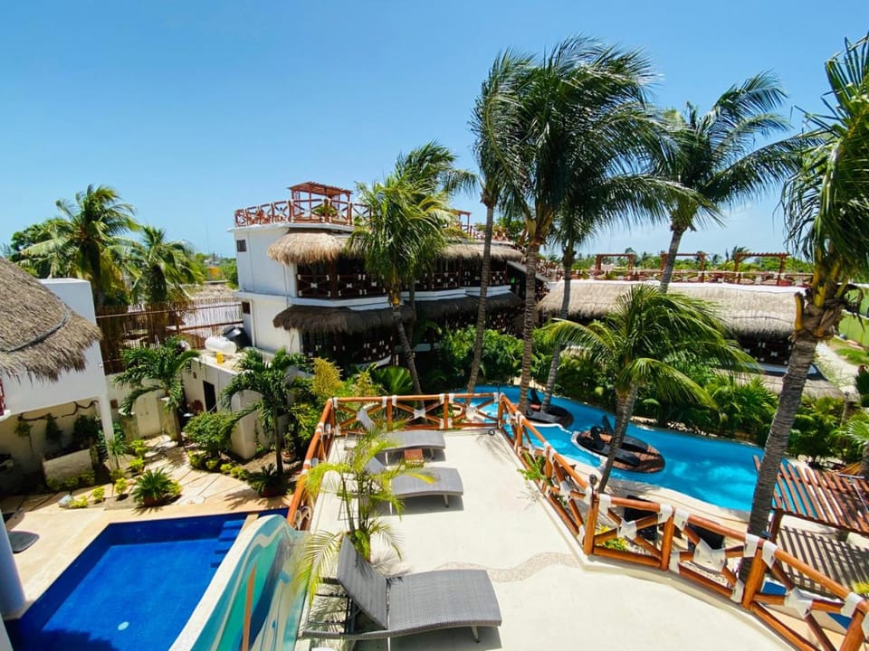 Garden, Swimming pool