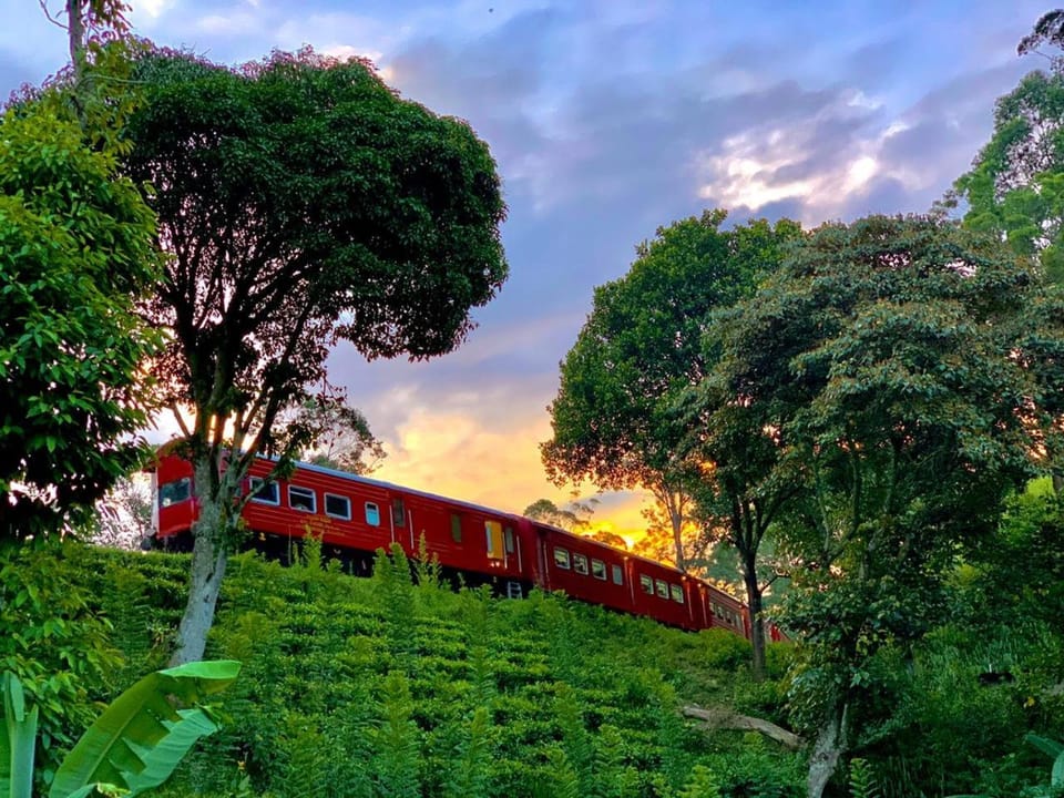 Train View Chalet Bed and Breakfast in Central Province