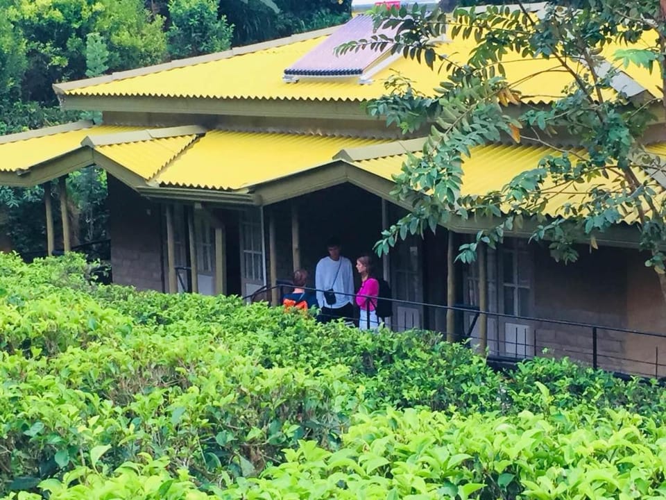 Garden view, Landmark view
