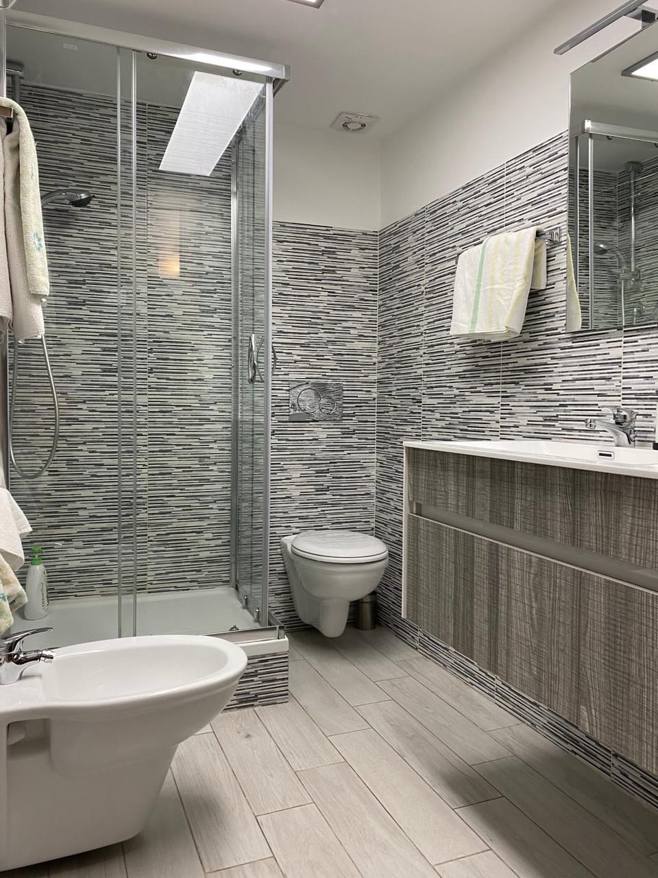 Shower, Toilet, Bathroom, towels