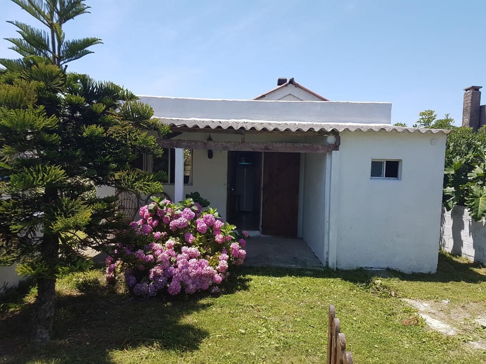 Property building, Garden view