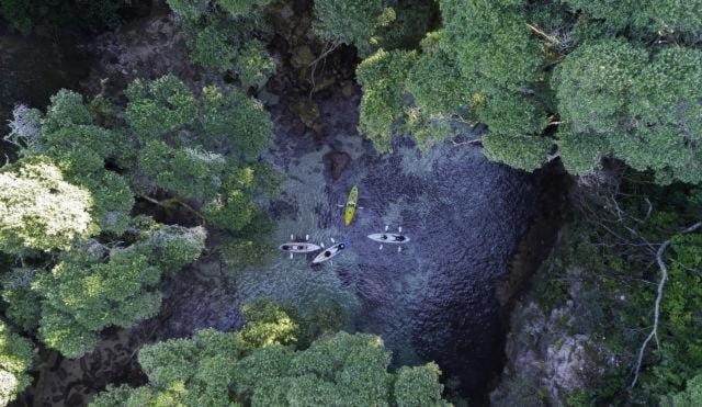 Snorkeling, Canoeing, Diving