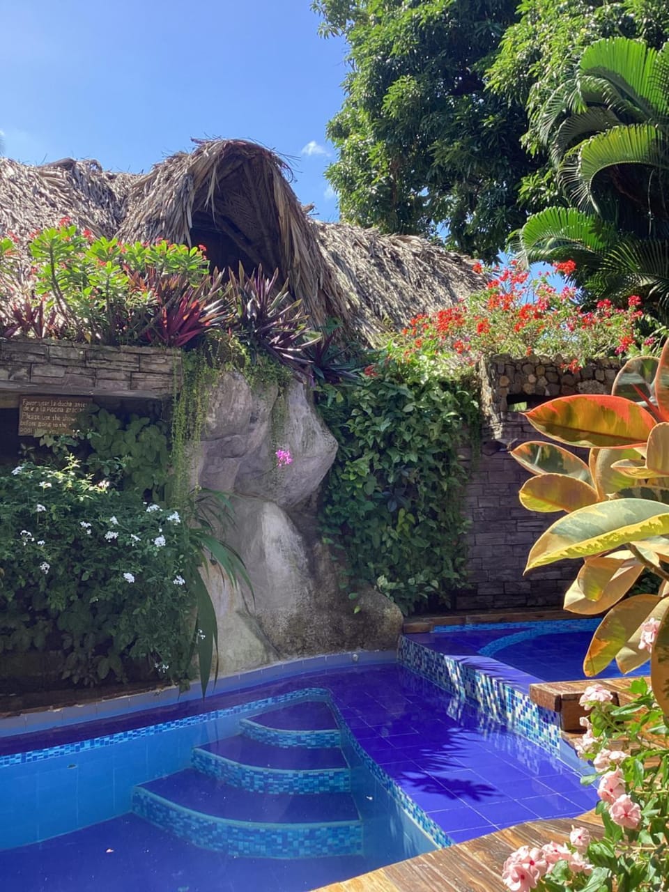 Day, Natural landscape, Garden, Garden view, Pool view, Swimming pool