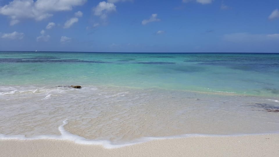 Natural landscape, Beach