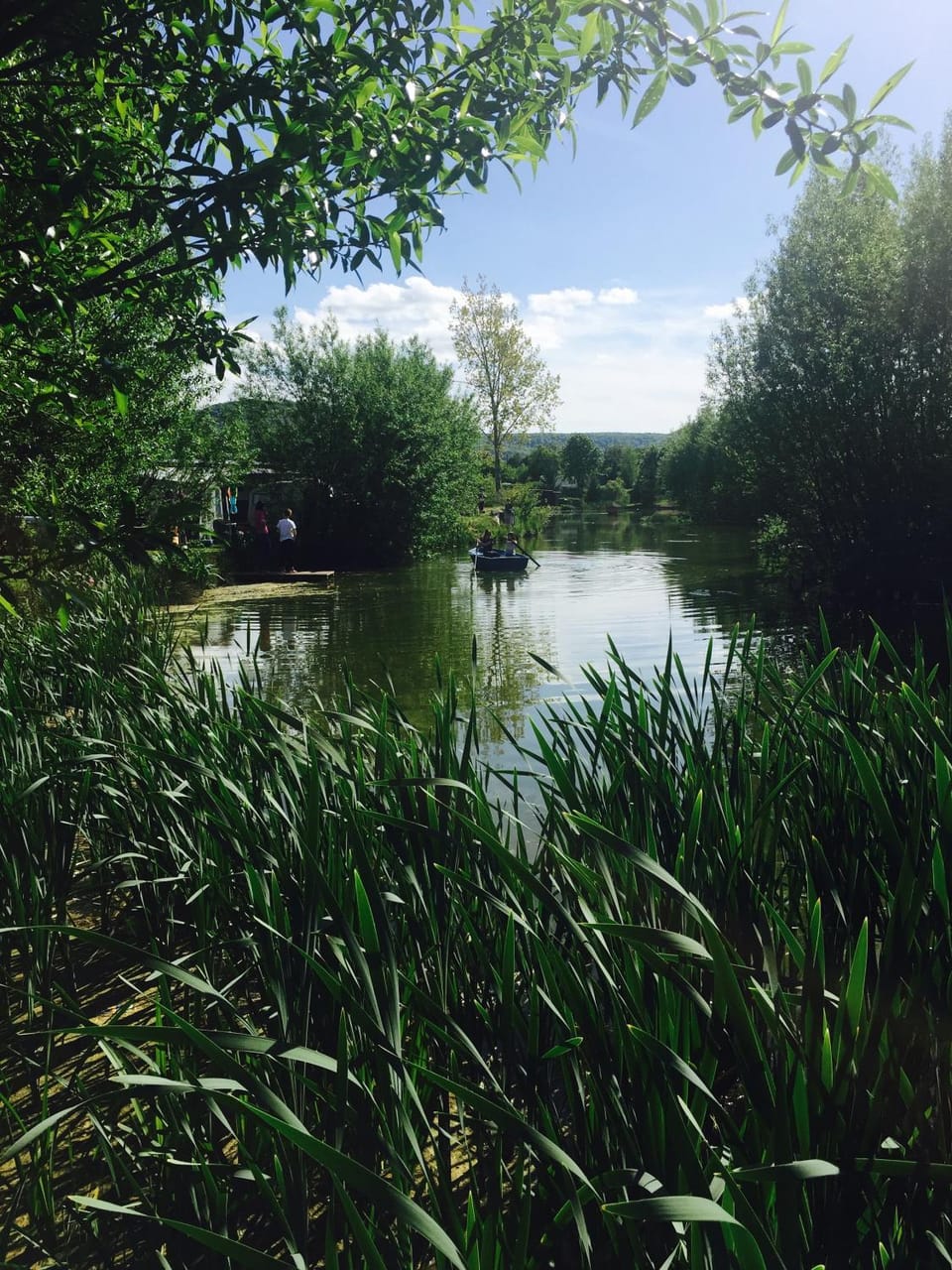 Property building, Fishing