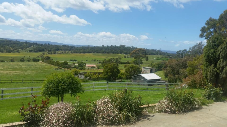 Garden, Garden view