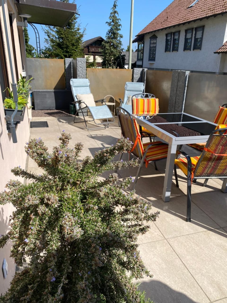 Balcony/Terrace, sunbed