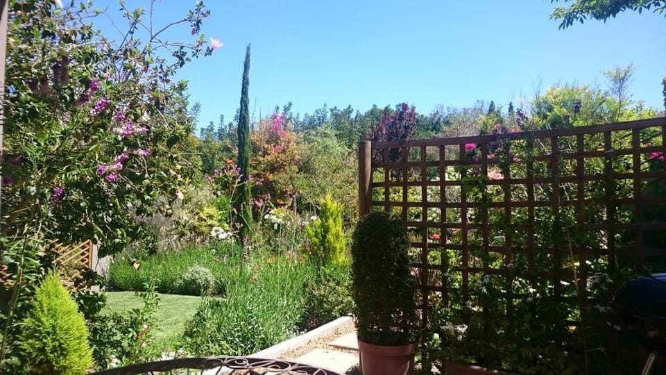 Patio, Balcony/Terrace