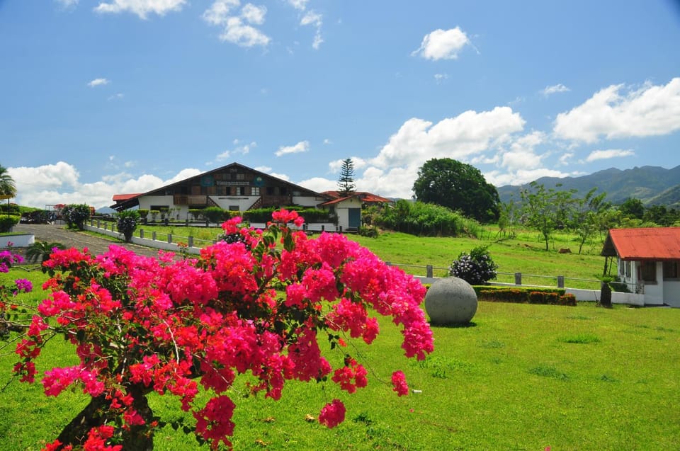 Mountain view