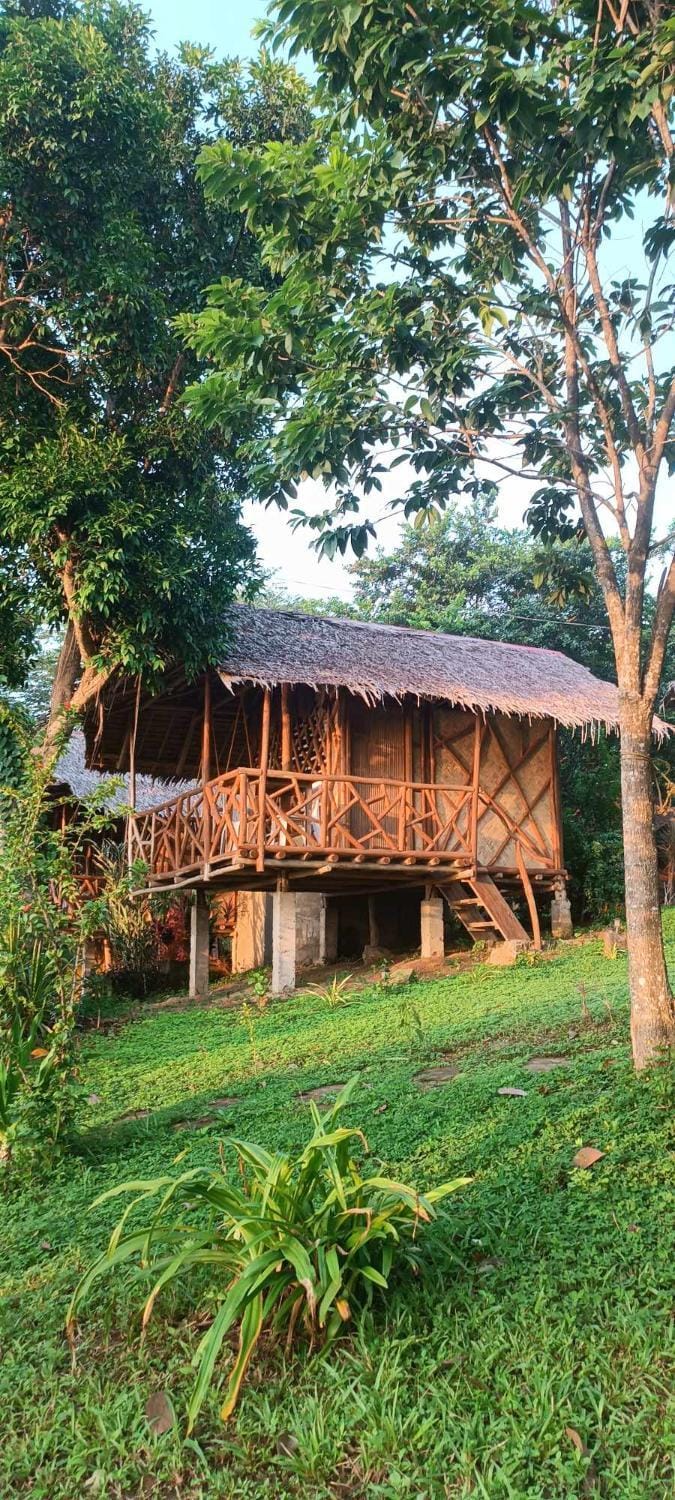 Property building, Natural landscape, Garden view