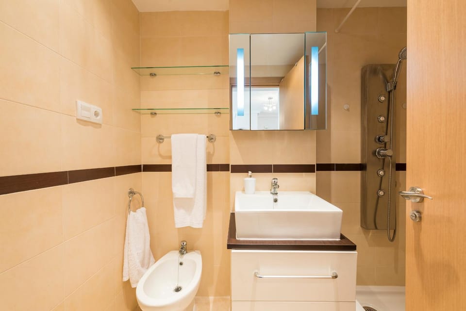 Shower, Toilet, bidet, towels