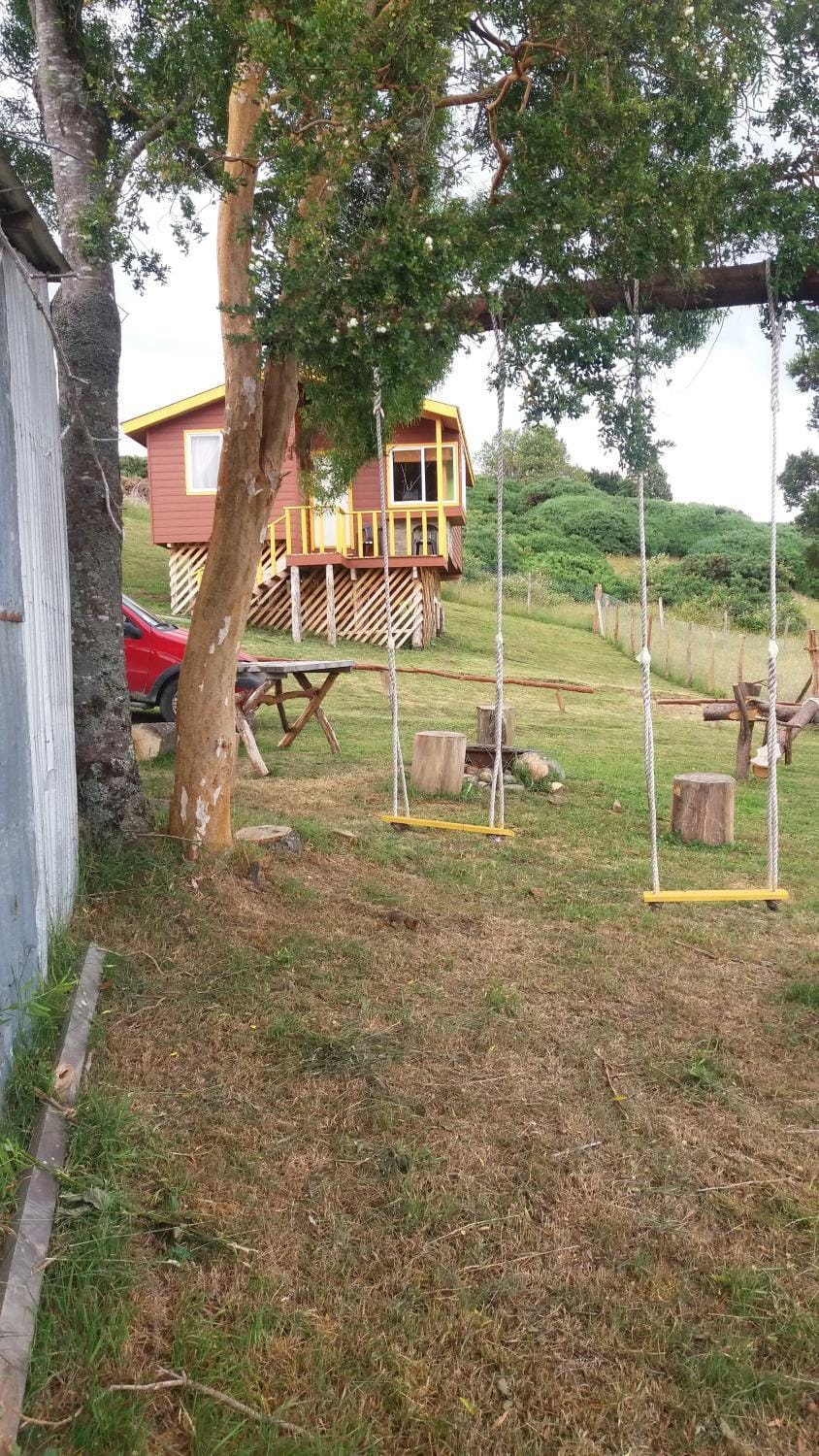 Children play ground