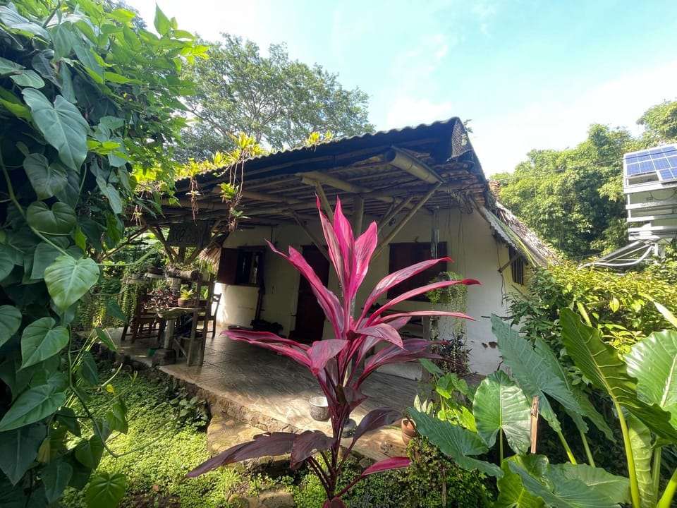 El Zopilote Hostel in Rivas