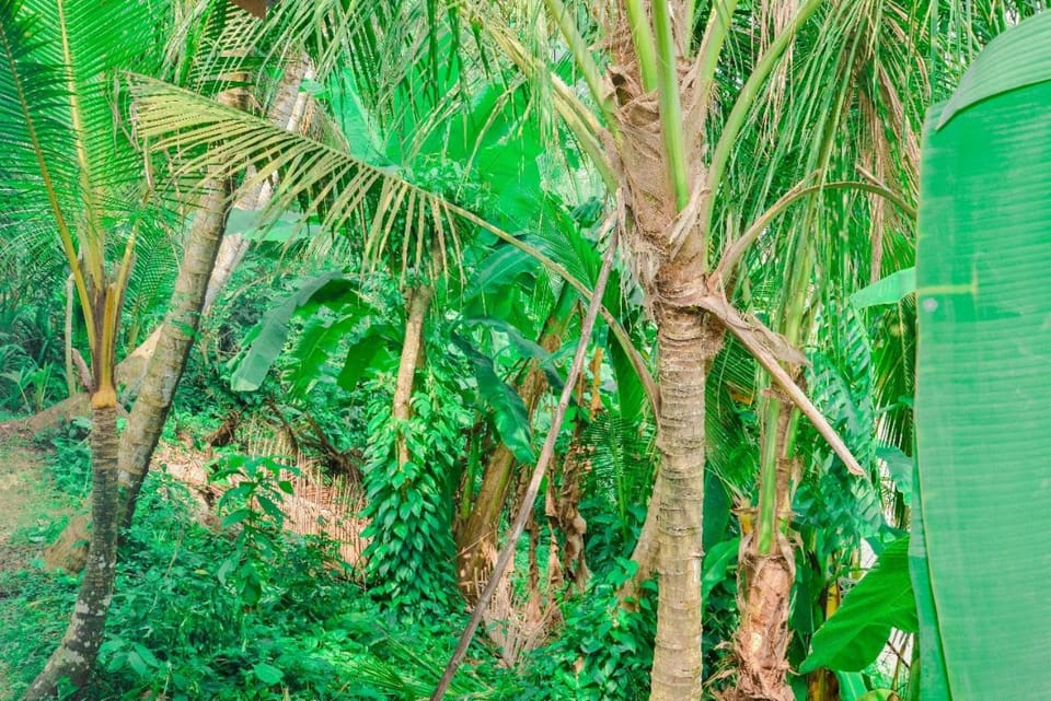 Pradeepa house Vacation rental in Southern Province