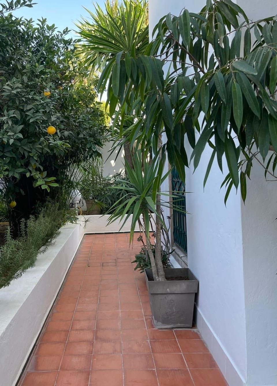 Spring, Day, Garden, Garden view