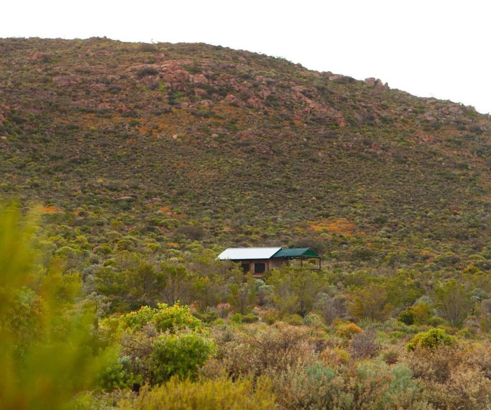 Agama Tented Camp Luxury tent in South Africa