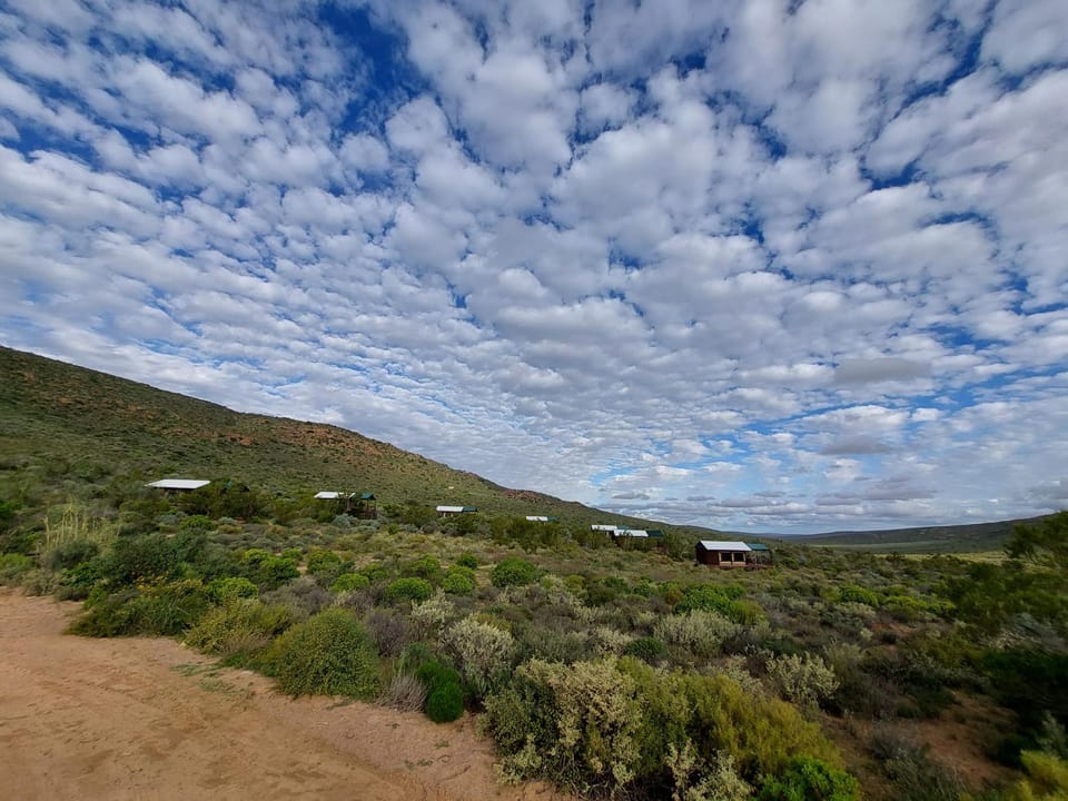 Agama Tented Camp Luxury tent in South Africa