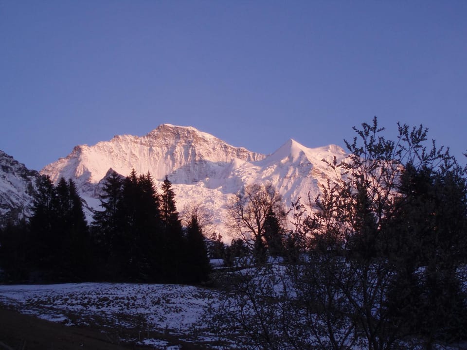 Mountain view