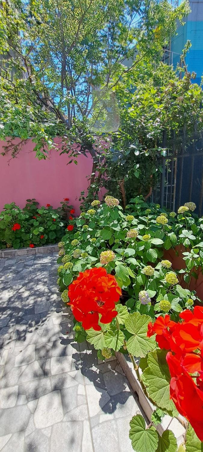 Spring, Day, Garden, Garden view