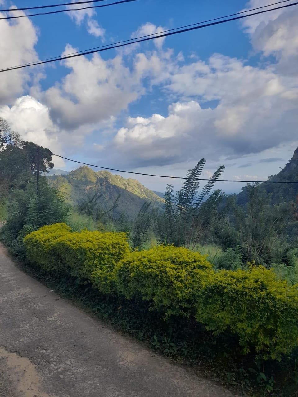 Quiet street view