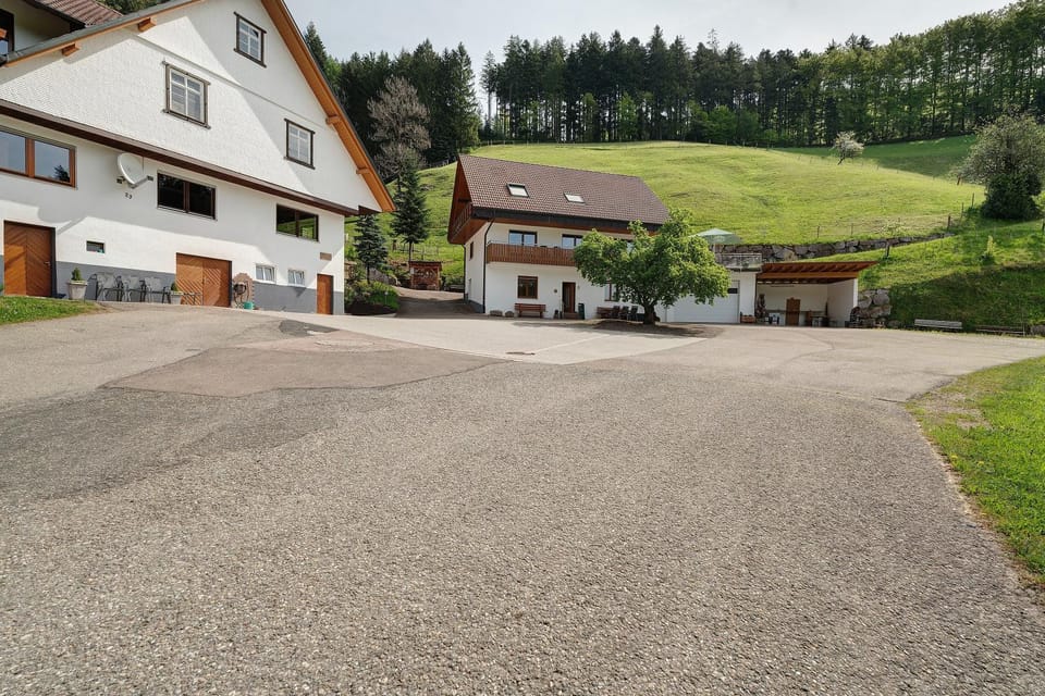 Holderstanzenhof Apartment in Ortenau