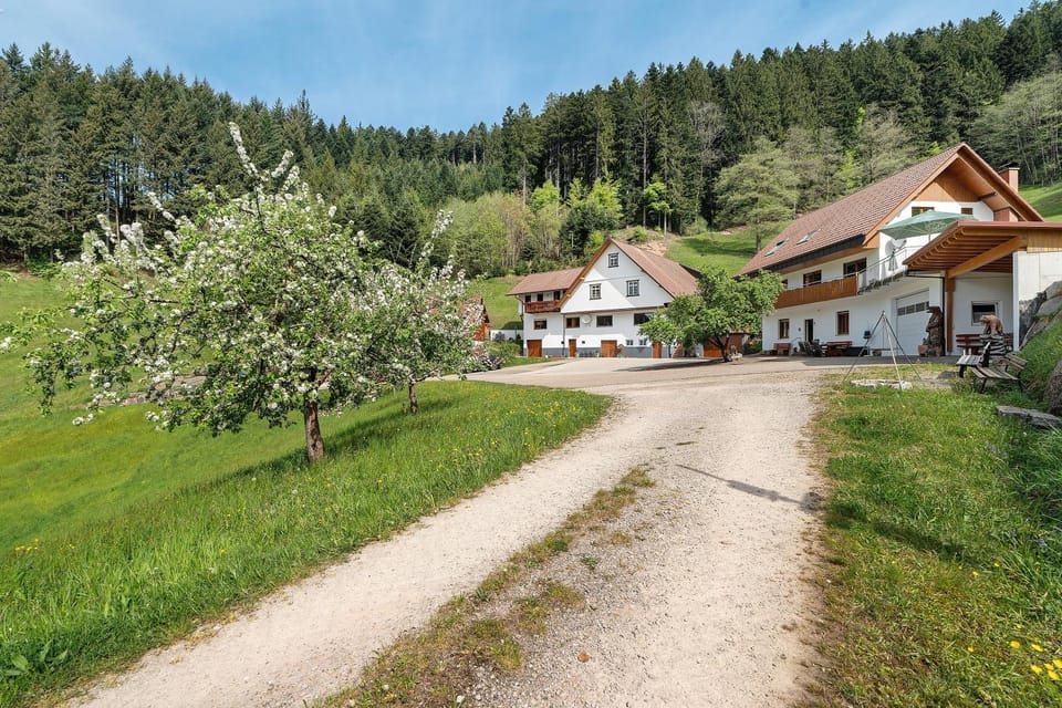 Holderstanzenhof Apartment in Ortenau