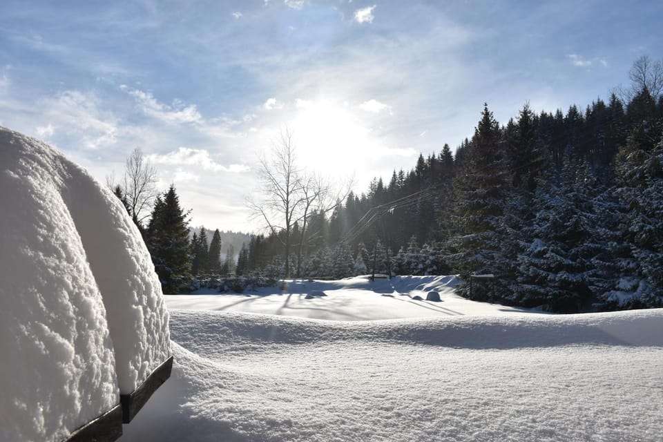 Winter, Garden