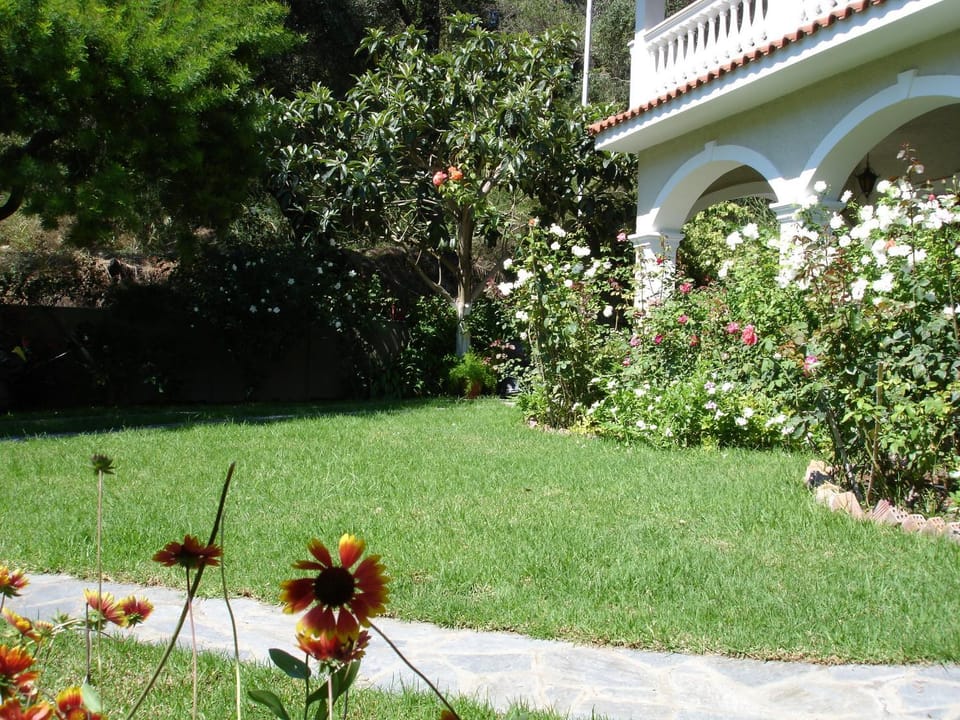Property building, Summer, Garden