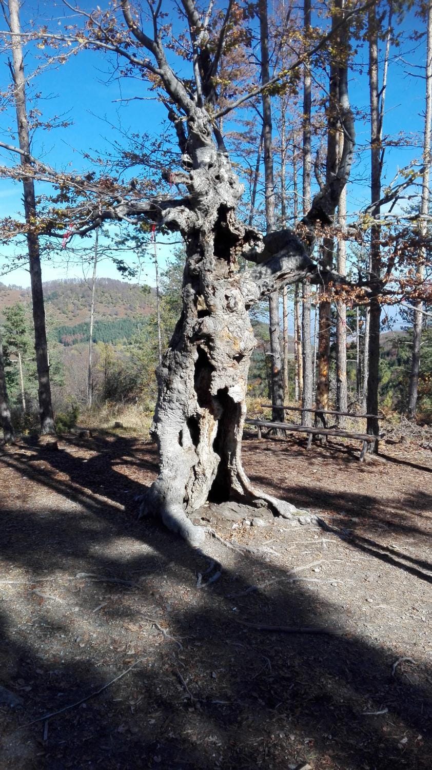 Nearby landmark