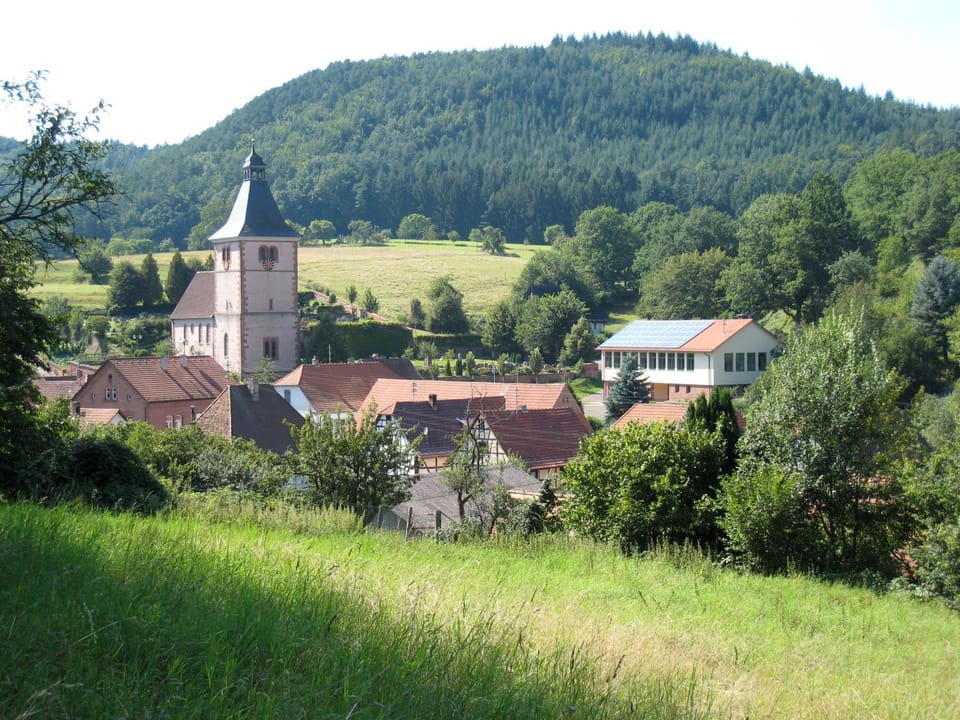 Natural landscape