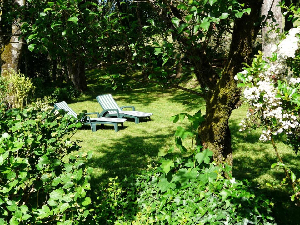 Natural landscape, Garden, Garden, Garden view