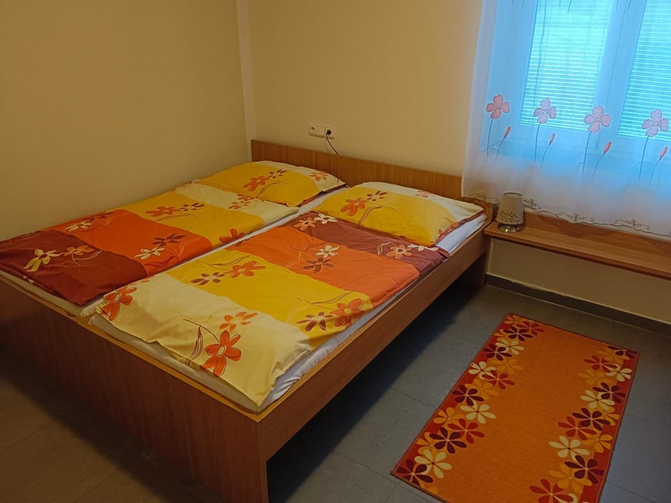 Penzion Vincent Bed and Breakfast in Czechia