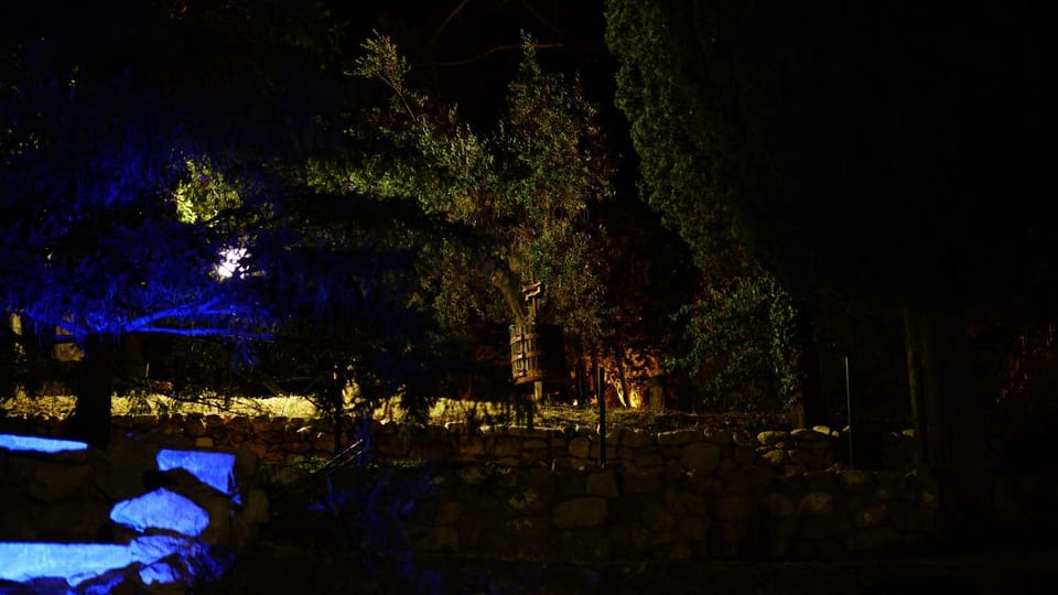 Night, Garden, On site