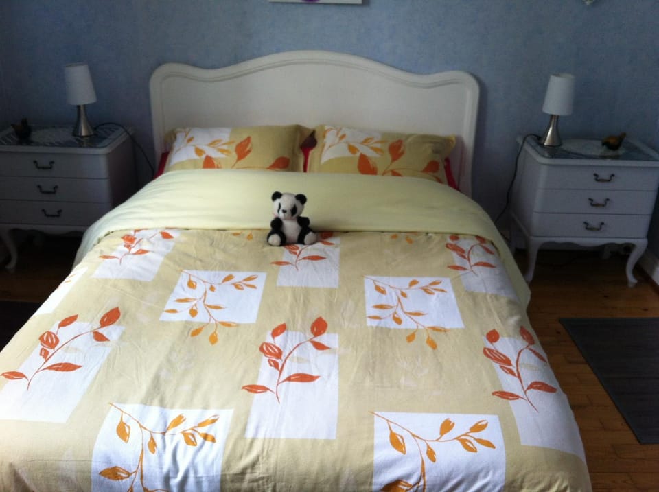 Chambres d'hôtes et Gîte chez Martine Bed and Breakfast in Grand Est