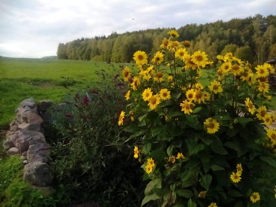 U tátovy lípy Apartment in Czechia