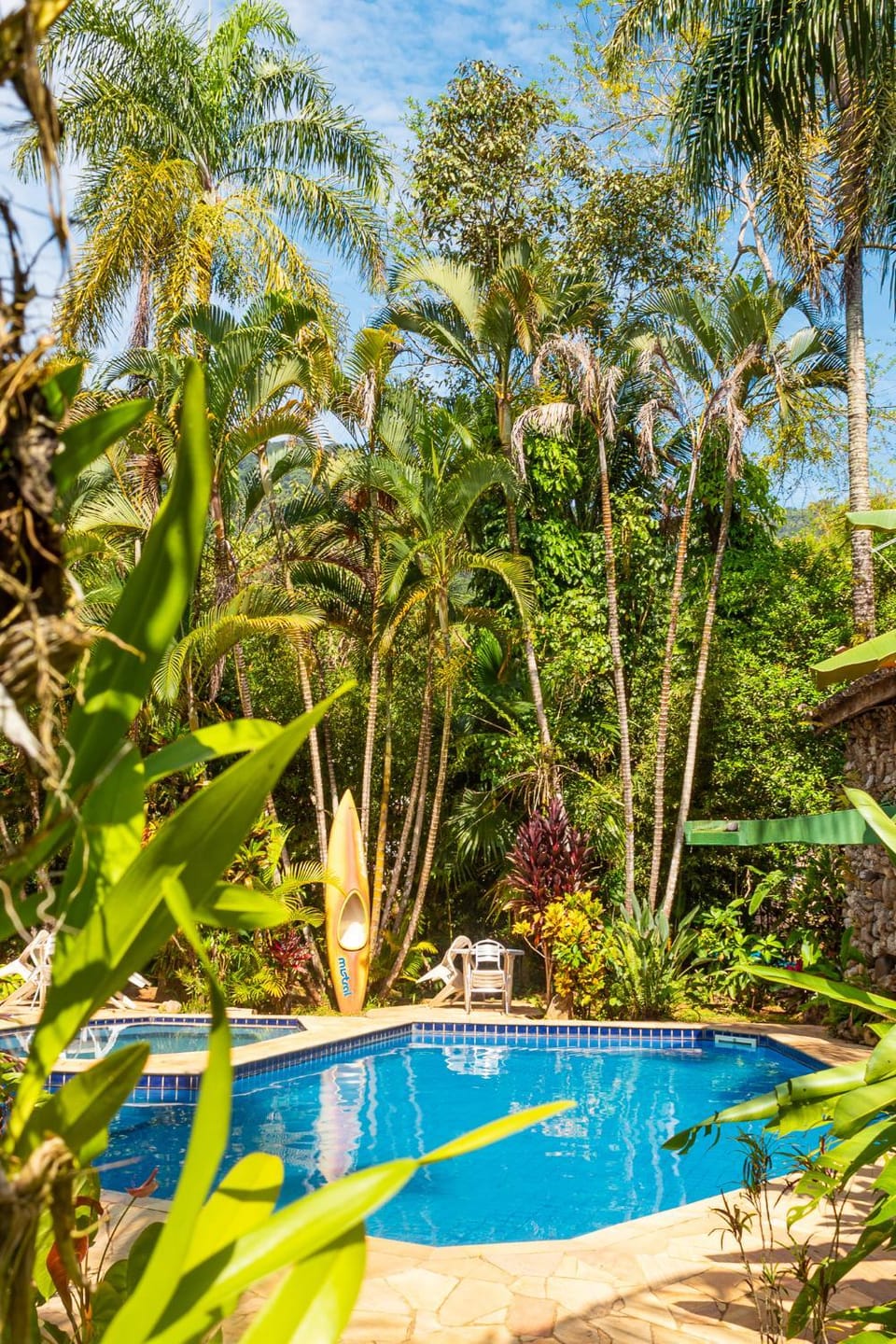 Spring, Day, Natural landscape, Garden, Garden view, Pool view, Swimming pool
