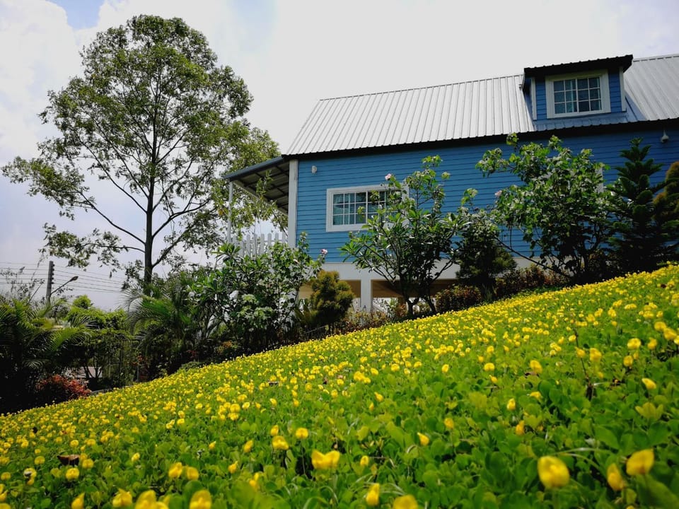 Tip House Chalet in Laos