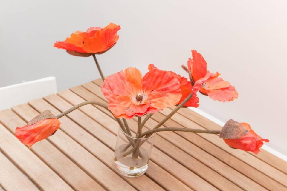 Les Coquelicots House in Grand Est