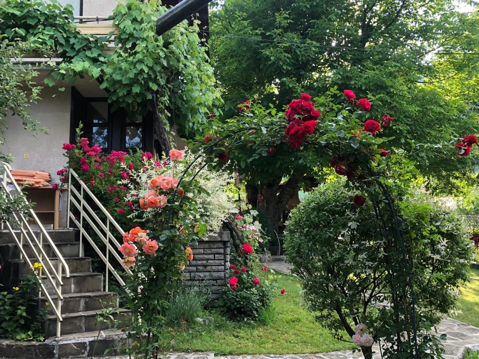 Luylyana Guesthouse Bed and Breakfast in Bulgaria