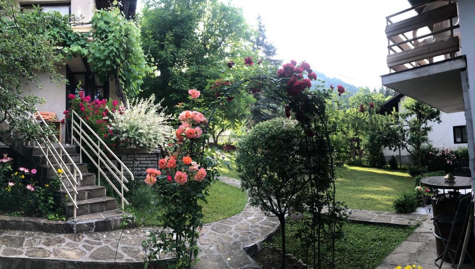 Garden, Garden view