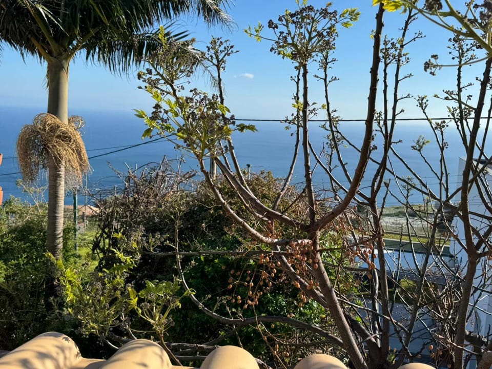 Spring, Natural landscape, Bedroom, Sea view