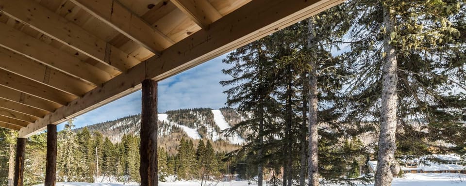 Winter, Mountain view