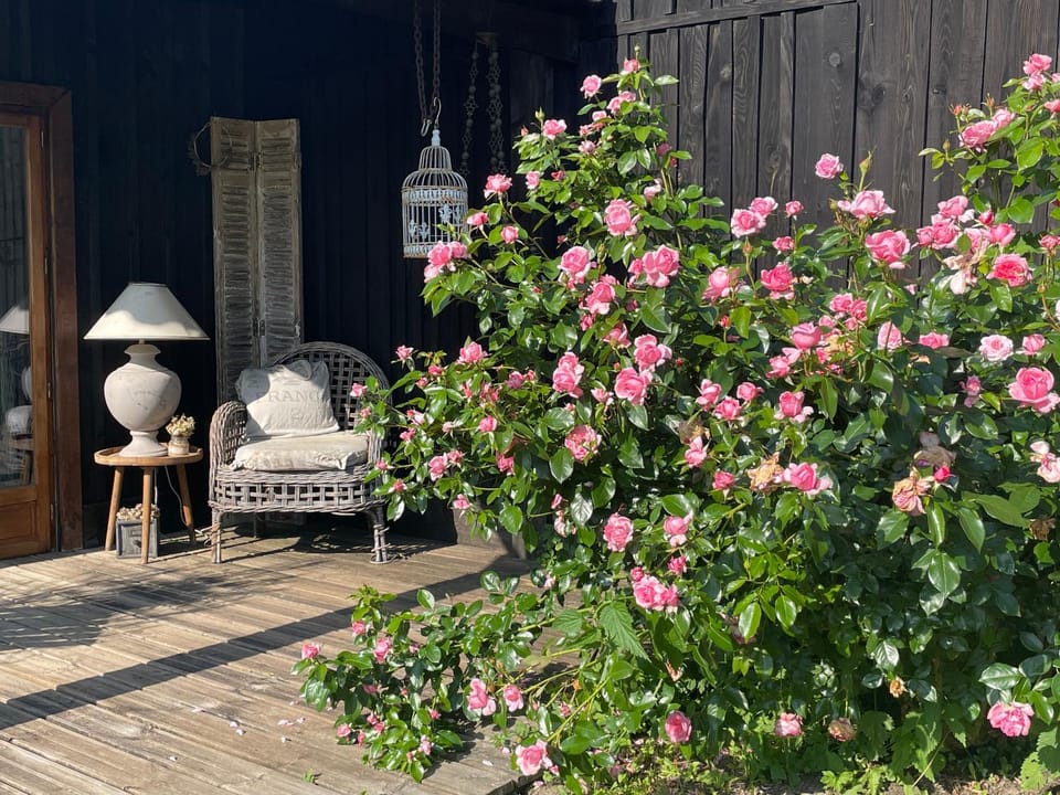 Moulin de Laboirie Bed and Breakfast in Nouvelle-Aquitaine