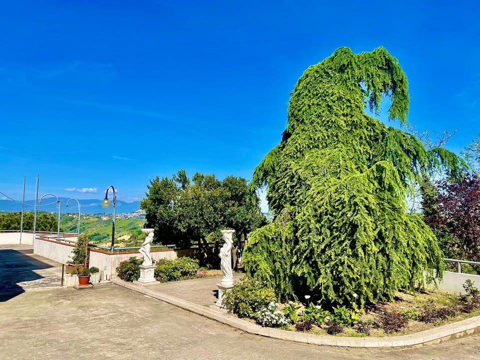 Natural landscape, Garden, Garden view