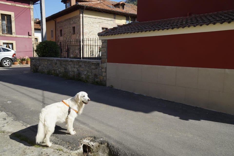 Patio, Facade/entrance