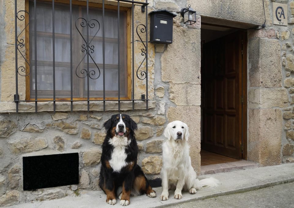 Facade/entrance, Pets